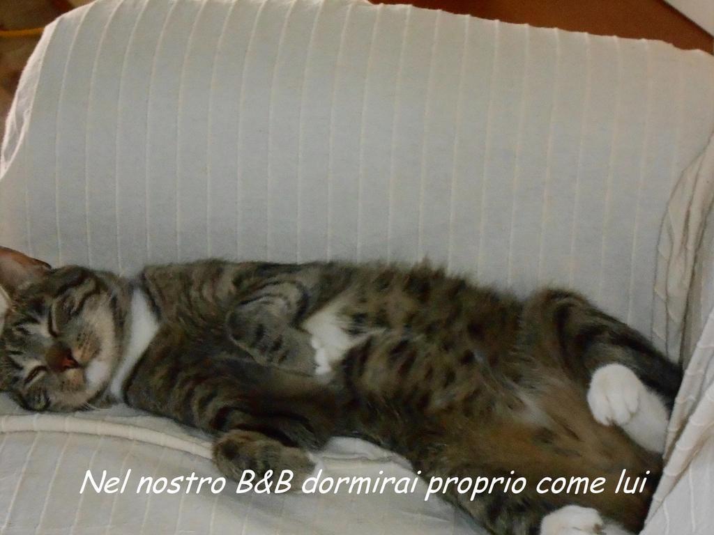 I Tetti Di Sassari B&B מראה חיצוני תמונה